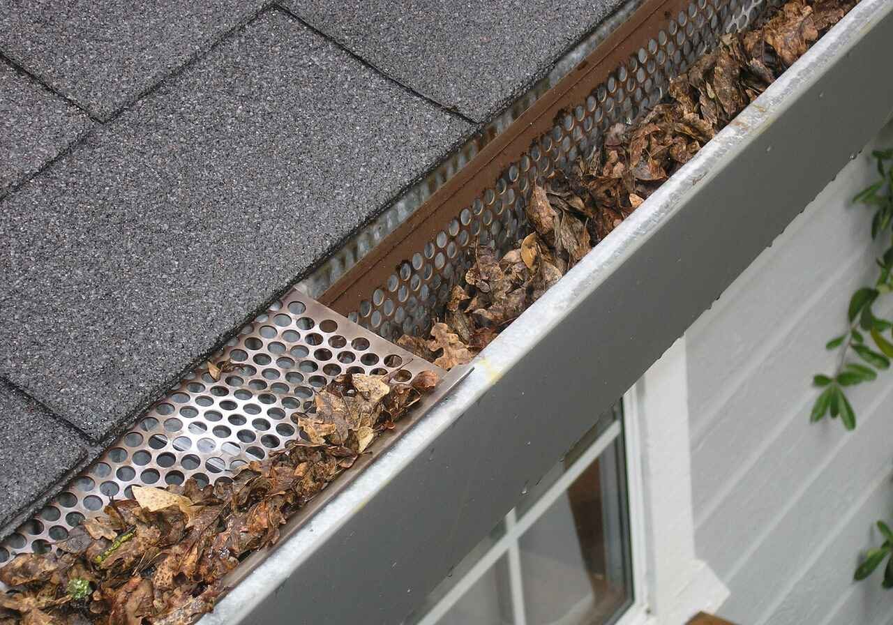gutter-guard-ipswich-2434467_1280