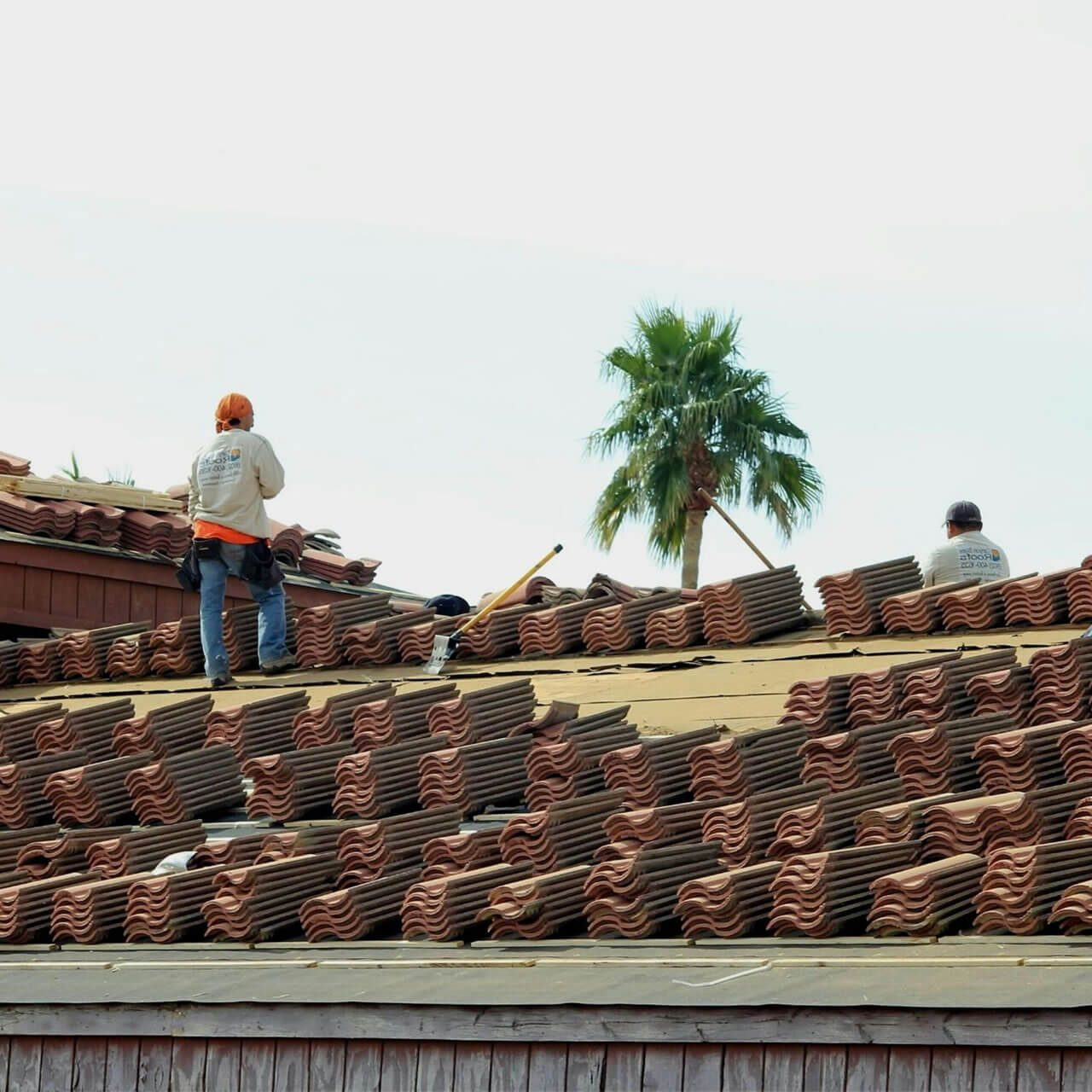 pexels-jim-mclain-195344095-11467876 (1)